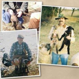 Lambing Season Image